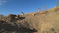 Three gophers run near their hole in the steppe of Kazakhstan