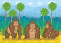 Three gorillas in jungle