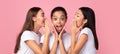 Three Gossip Girls Whispering Secrets Standing In Studio, Panorama Royalty Free Stock Photo