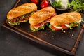 Three gourmet fast food sandwiches