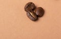 Three grains of arabica coffee close-up on the background of coffee beans