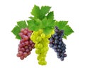 Three grapes with leaves Royalty Free Stock Photo