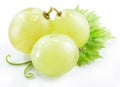 Three grapes with small leaf.