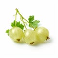Striped White Fruits On White Background: Detailed And Realistic Gooseberry