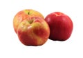Three gravenstein apples Royalty Free Stock Photo