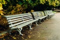 Three gray benches raspolezheny in a row in the autumn park Royalty Free Stock Photo