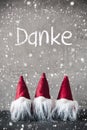 Three Red Gnomes, Cement, Snowflakes, Danke Means Thank You