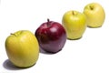 Three green apples and one red apple Royalty Free Stock Photo