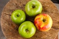Three green apples and one red Royalty Free Stock Photo