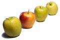 Three green apples and one yellow apple Royalty Free Stock Photo