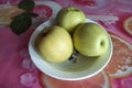 Three green apples in a plate Royalty Free Stock Photo