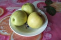 Three green apples in a plate Royalty Free Stock Photo