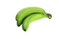 Three green bananas isolated on the white background. no shade Royalty Free Stock Photo