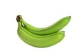 Three green bananas isolated on the white background. no shade Royalty Free Stock Photo