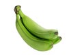 Three green bananas isolated on the white background. no shade Royalty Free Stock Photo