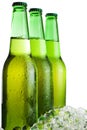 Three green beer bottles with ice Royalty Free Stock Photo