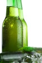 Three green beer bottles with ice Royalty Free Stock Photo