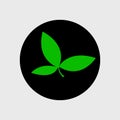Three green Belpatra leaf vector icon