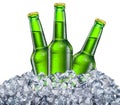 Three green bottles of beer with drops in the ice cubes isolated on a white background Royalty Free Stock Photo