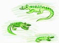 Three green crocodiles. Children`s drawing