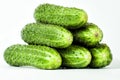 Three green cucumber Royalty Free Stock Photo