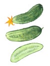 Three green cucumbers Royalty Free Stock Photo