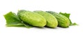 Three green cucumbers and leaves Royalty Free Stock Photo