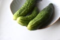 Three green cucumbers on a plate on a white background Royalty Free Stock Photo