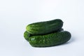 Three green cucumbers on a white background. Harvest from the garden. Royalty Free Stock Photo