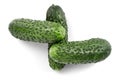 Three green fresh cucumbers isolated on white background Royalty Free Stock Photo