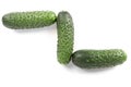 Three green fresh cucumbers isolated on white background Royalty Free Stock Photo