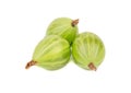 Three green gooseberry