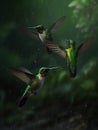 three hummingbirds flying, Generate Ai