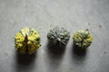 Three green mini decorative pumpkins on grey floor.