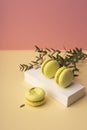 Three green pistachio macaroons cakes on a white gift box with b