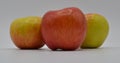 Three Juicy and Ripe Organic Cortland Apples from New York