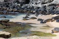 Three Green Sea Turtles crawling to the Pacific Ocean with four turtles lying in the sand at Hookipa Beach along the Road to Hana Royalty Free Stock Photo