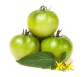 Three green unripe tomato with a flower and leaf isolated on white background Royalty Free Stock Photo
