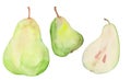 Three green watercolor pears watercolor illustration Royalty Free Stock Photo