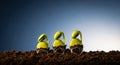 Three greenyellow seedlings emerging from darkbrown soil with visible roots and seed husks against a gradient bluewhite background Royalty Free Stock Photo