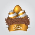 Three group 3D realistic Decorative egg with gold color on the bird nest with golden splash text banner Royalty Free Stock Photo