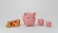 Three growing pink piggy banks and golden coins stacks isolated on white background Royalty Free Stock Photo