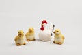 Three gypsum yellow chicks and rooster