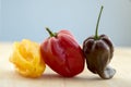 Three habanero very hot chili peppers in a row, ripened capsicum chinenses on wooden table Royalty Free Stock Photo