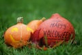 Three Halloween pumpkins on green grass