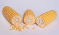 Three halves of a corncob.Corn grains.White background. Royalty Free Stock Photo