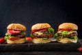 Three hamburger with beef meat burger and fresh vegetables