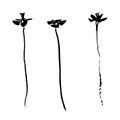 Three hand drawn black stylized flower painted by ink. Sketch vector illustration.