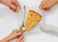 Three hands and dog paw pulling plate with last piece of Thanksgiving pie on plate. Family can not divide leftover cake