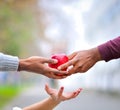 Three hands sustaining a red apple